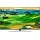 LG 55QNED819QA DE