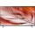 Sony XR-65X90J